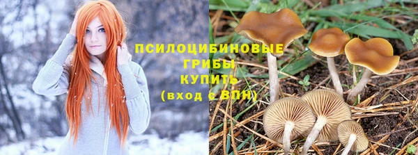альфа пвп Лабытнанги
