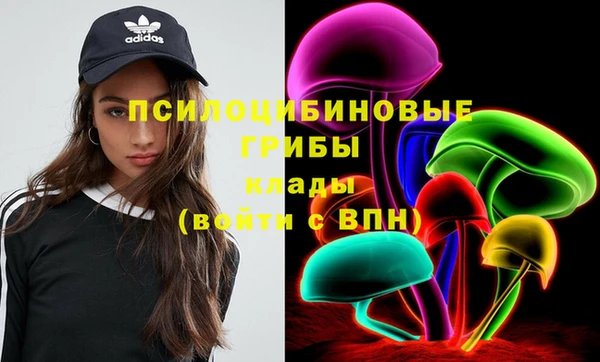 меф Ладушкин