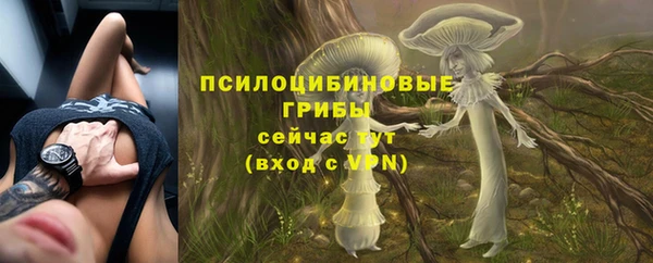 альфа пвп Лабытнанги
