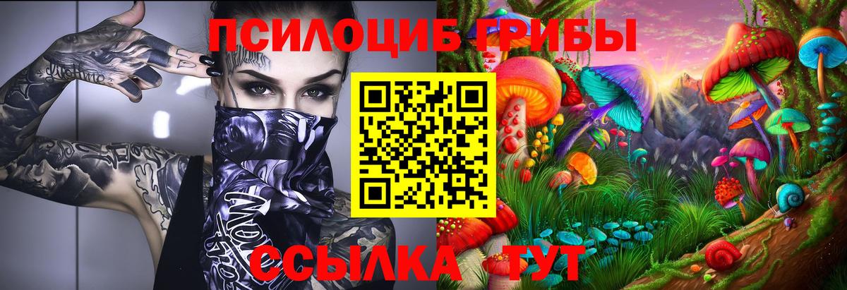 Галлюциногенные грибы Magic Shrooms  Усть-Кут 